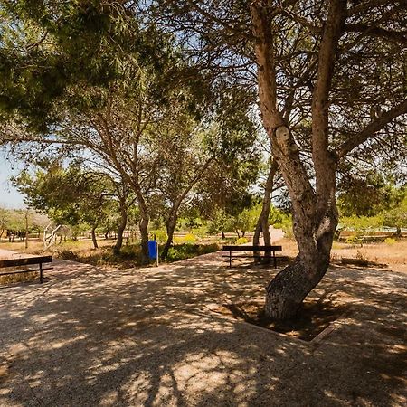 Apartament "Parque Mar" La Mata  Εξωτερικό φωτογραφία