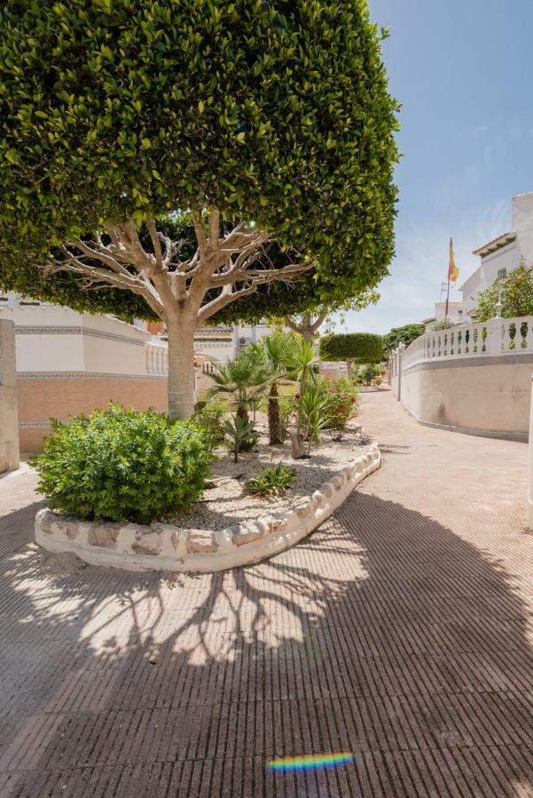 Apartament "Parque Mar" La Mata  Εξωτερικό φωτογραφία